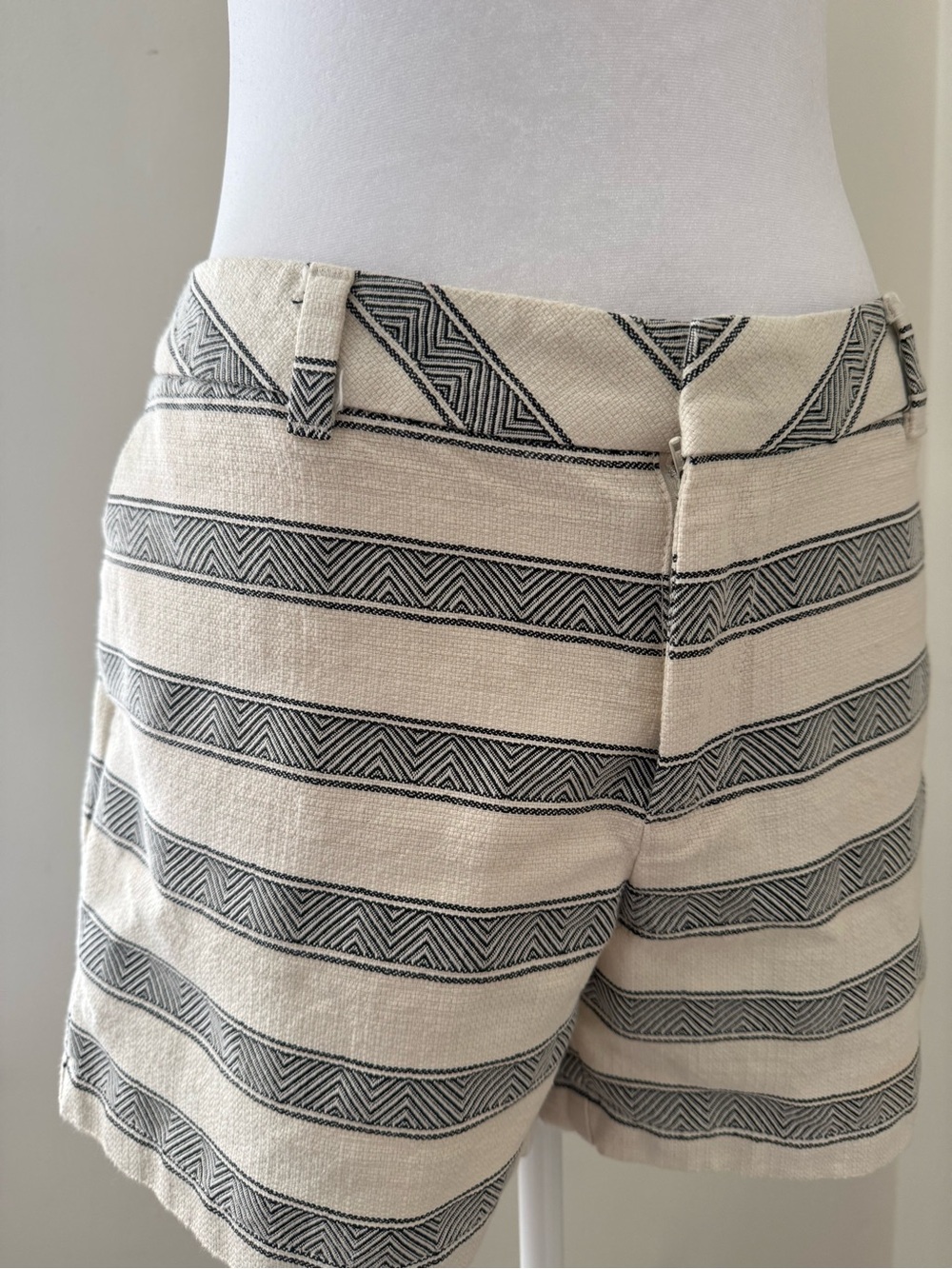 Striped Shorts - Picture 3 of 12